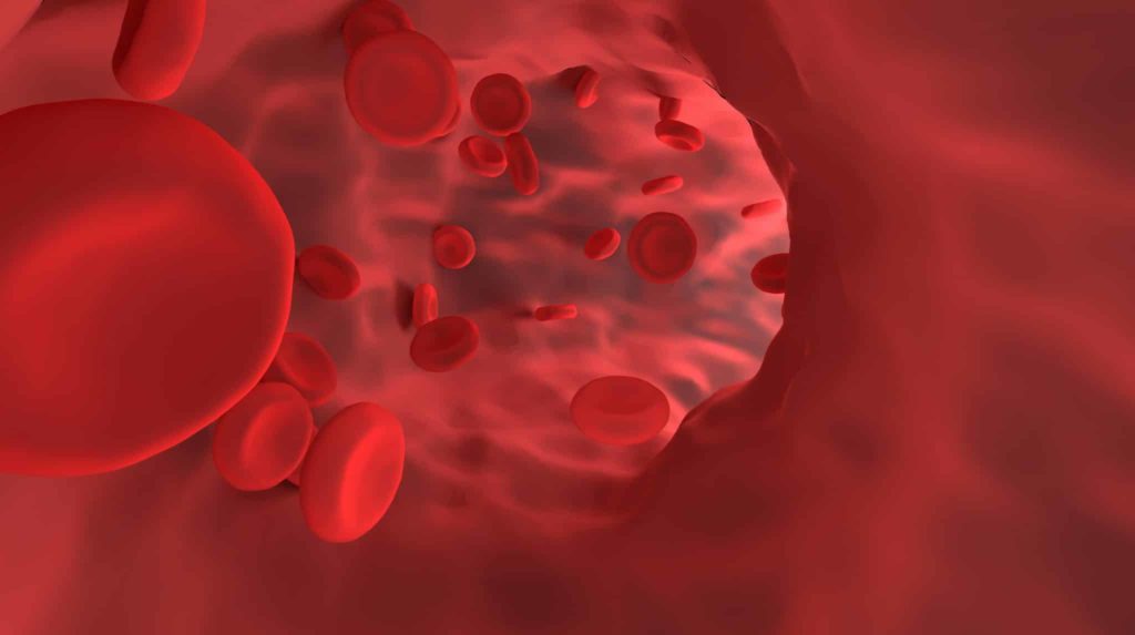 red blood cell, vessel, hemoglobin